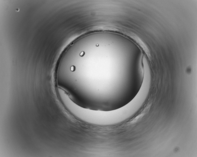 X0000103310893200809191915