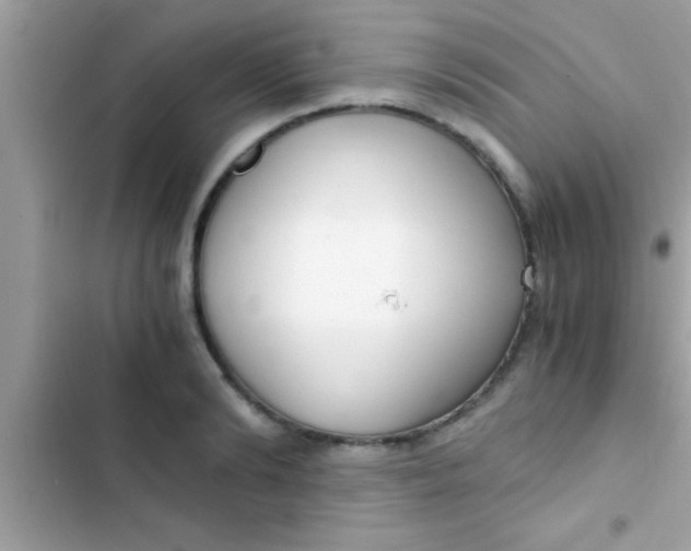 X0000103310894200809191915