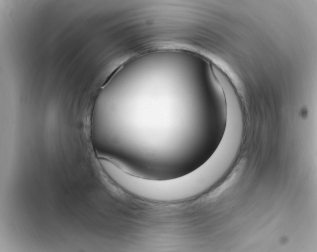 X0000103310897200809191915