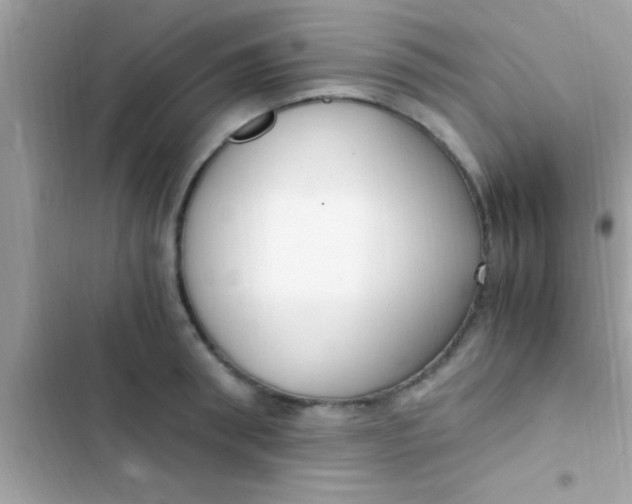 X0000103310898200809191915