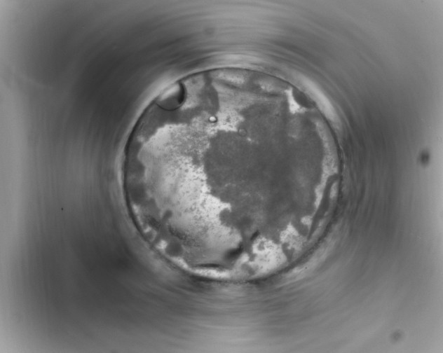 X0000103310899200809191915