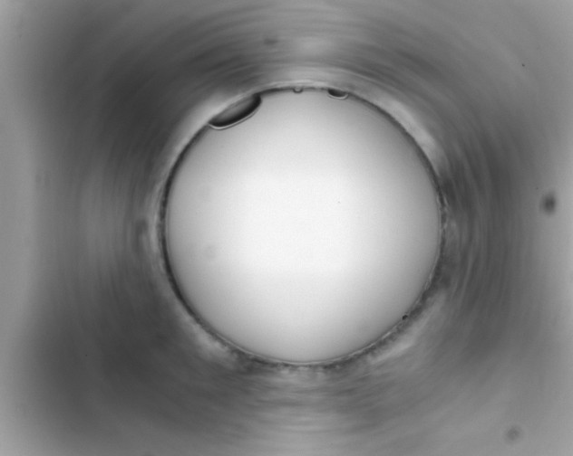 X0000103310901200809191915