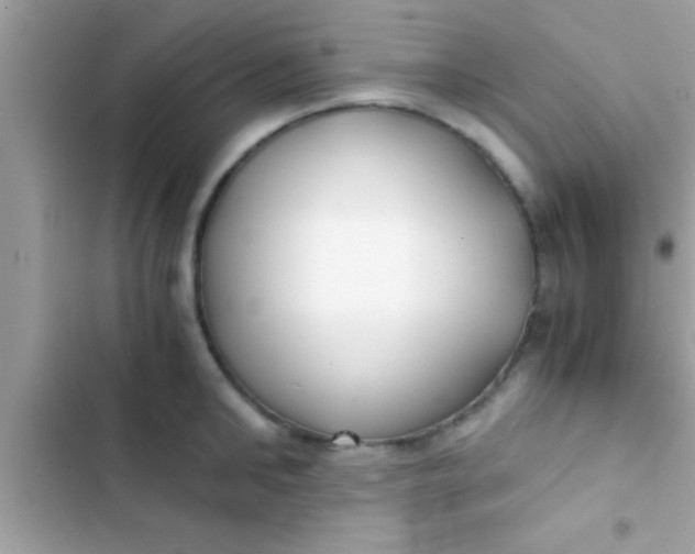 X0000103310902200809191915
