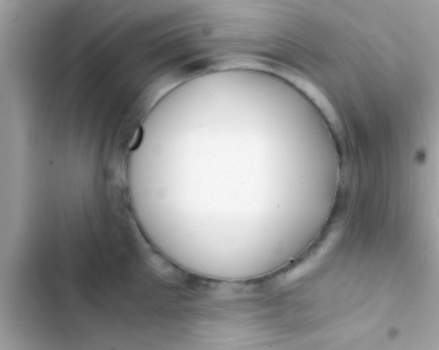 X0000103310905200809191915