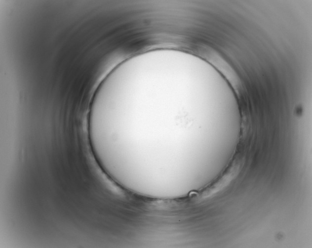 X0000103310906200809191915