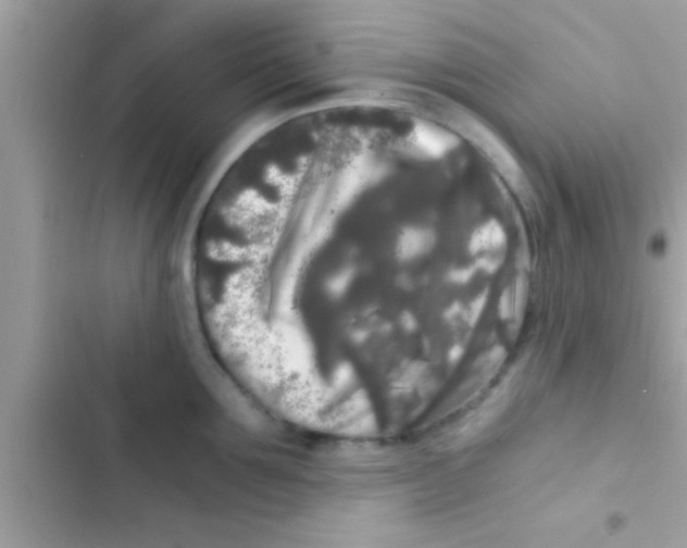 X0000103310907200809191915