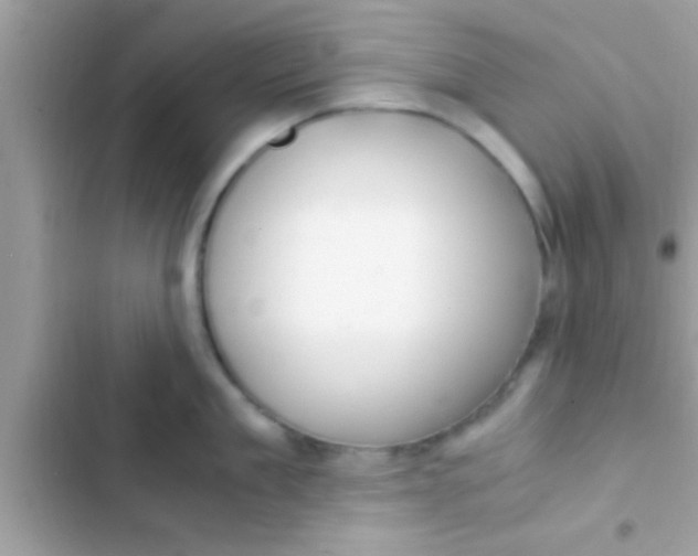 X0000103310909200809191915
