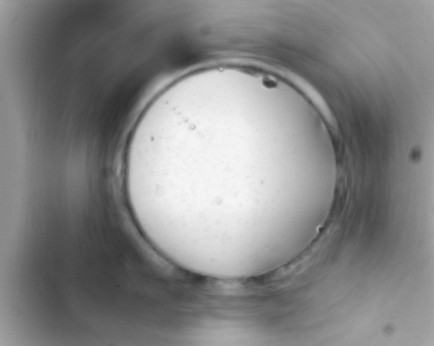 X0000103310911200809191915