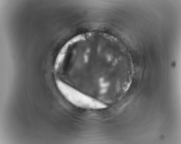 X0000103310913200809191914