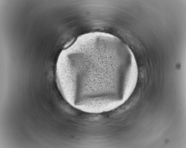 X0000103310916200809191914