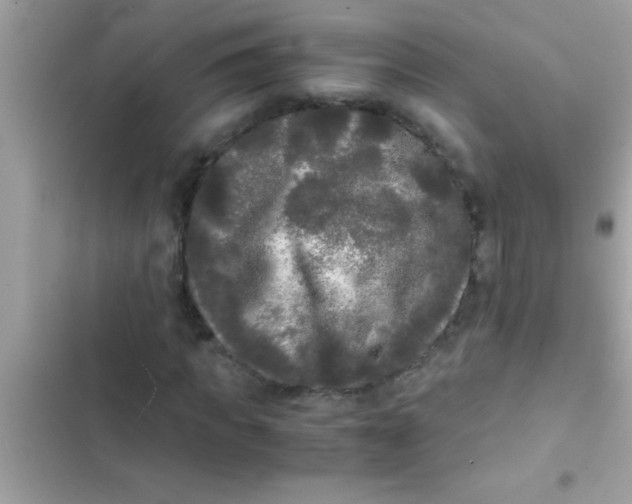 X0000103310917200809191914