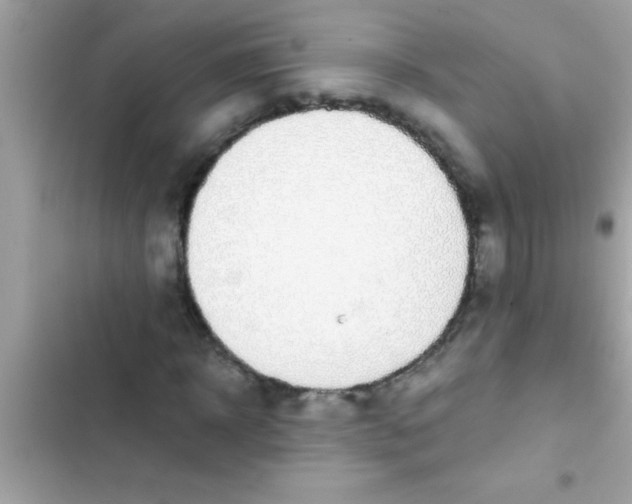 X0000103310918200809191914