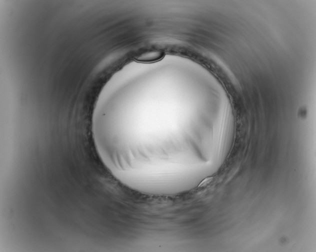 X0000103310919200809191914