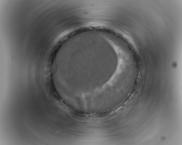 X0000103310920200809191914