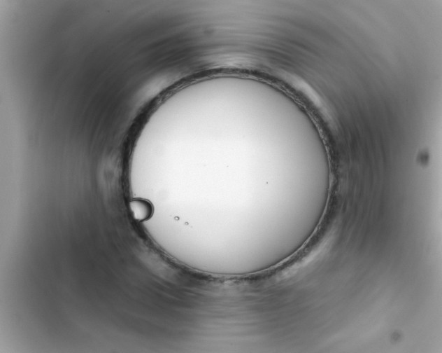 X0000103310922200809191914