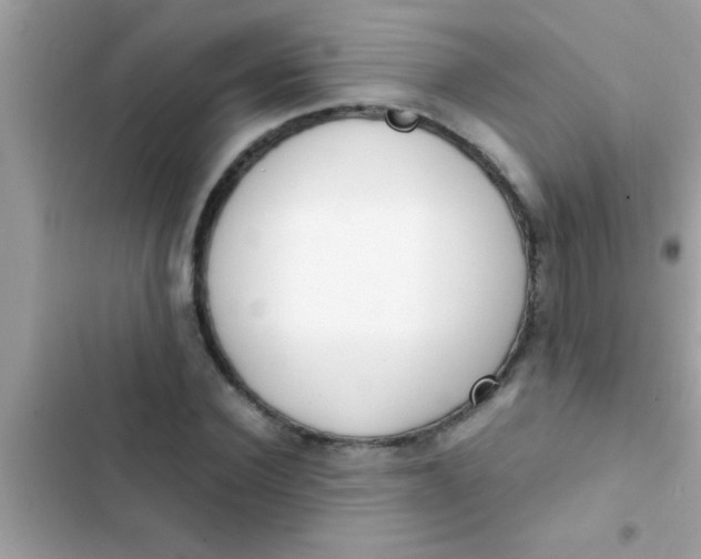 X0000103310924200809191914