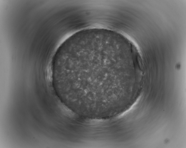 X0000103310925200809191914