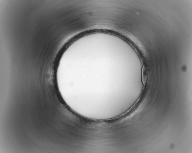 X0000103310926200809191914