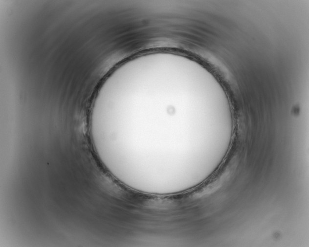 X0000103310929200809191914