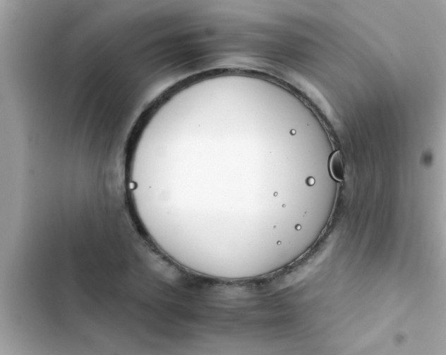 X0000103310931200809191914