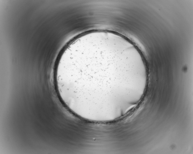 X0000103310932200809191914