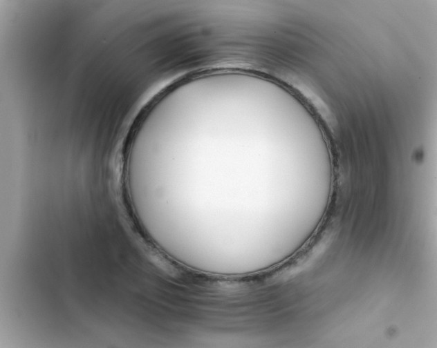 X0000103310933200809191914