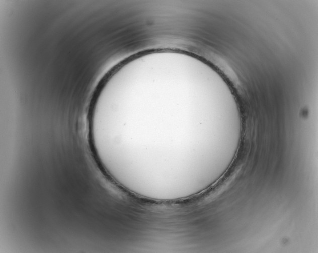 X0000103310936200809191914