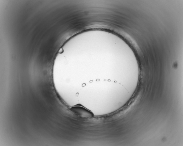 X0000103310937200809191914