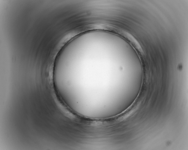 X0000103310938200809191914