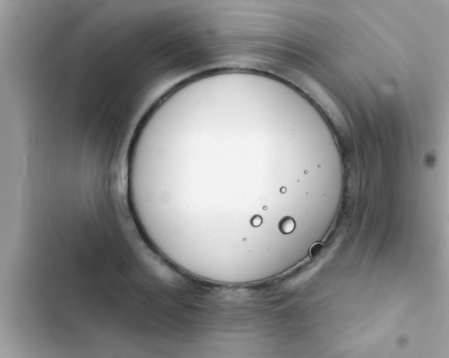 X0000103310940200809191914