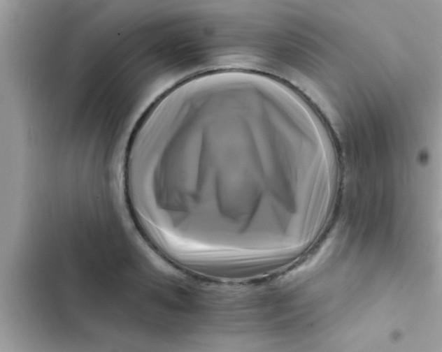 X0000103310941200809191914