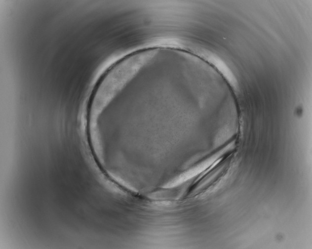 X0000103310944200809191914