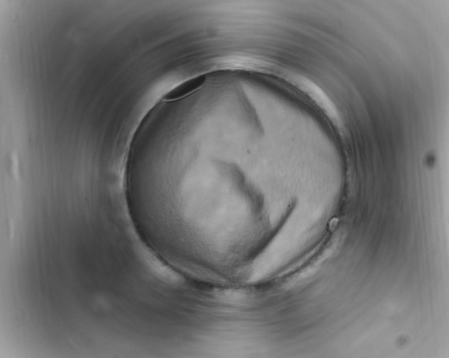X0000103310946200809191915
