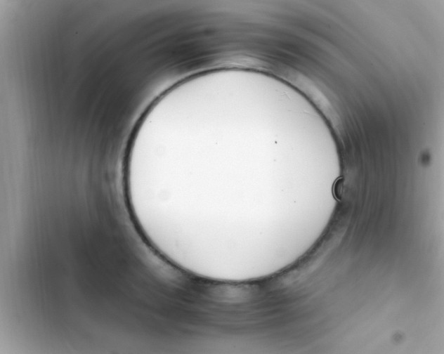 X0000103310947200809191915