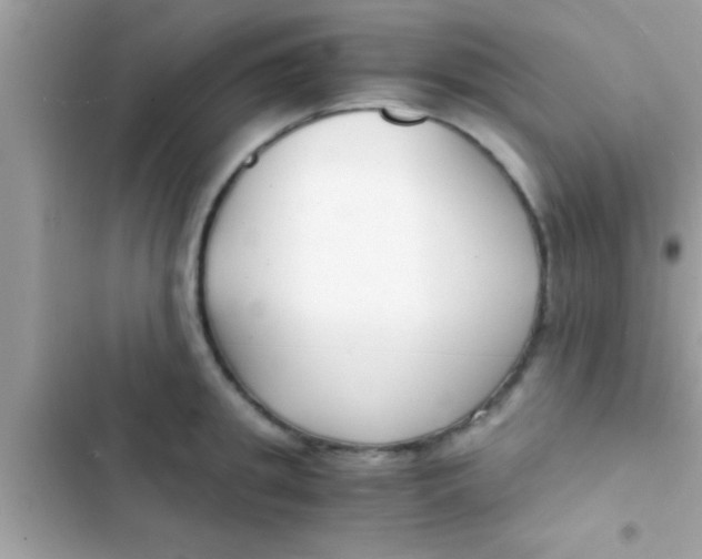 X0000103310949200809191915