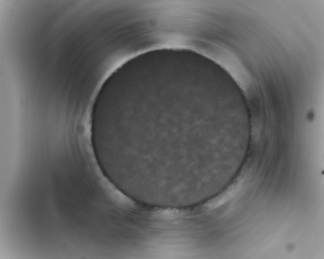 X0000103310950200809191915