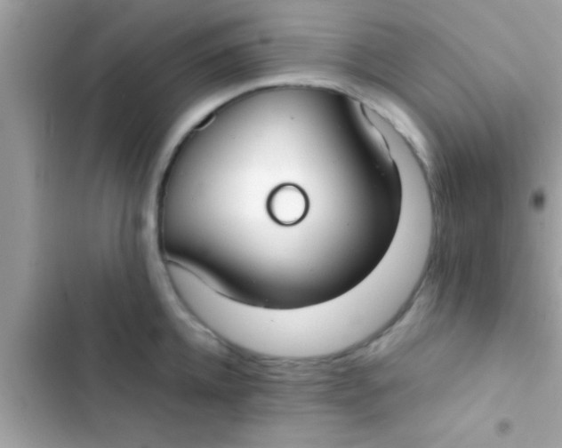 X0000103310952200809191915