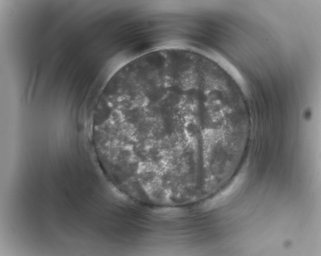 X0000103310953200809191915