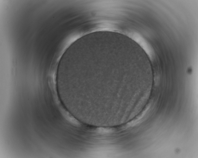 X0000103310954200809191915