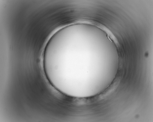 X0000103310955200809191915
