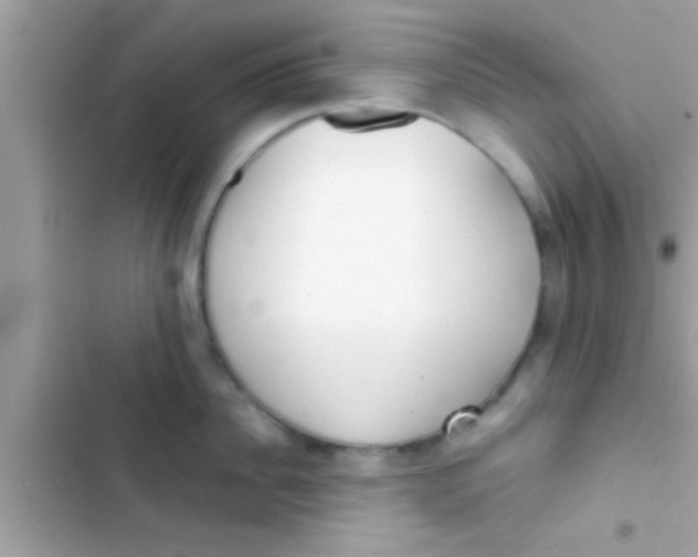 X0000103310956200809191915