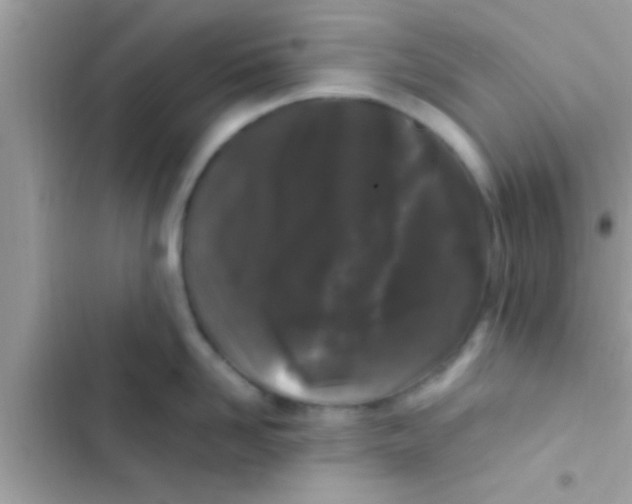 X0000103310958200809191915
