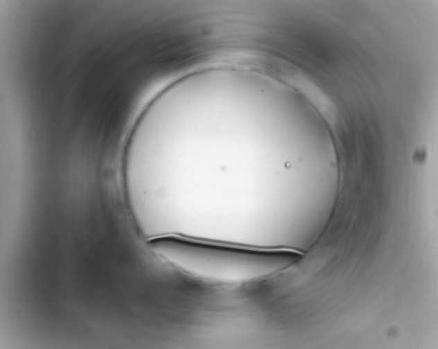 X0000103310960200809191915