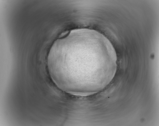 X0000103310961200809191914