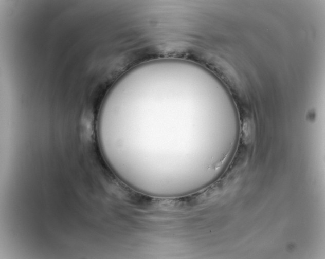 X0000103310963200809191914