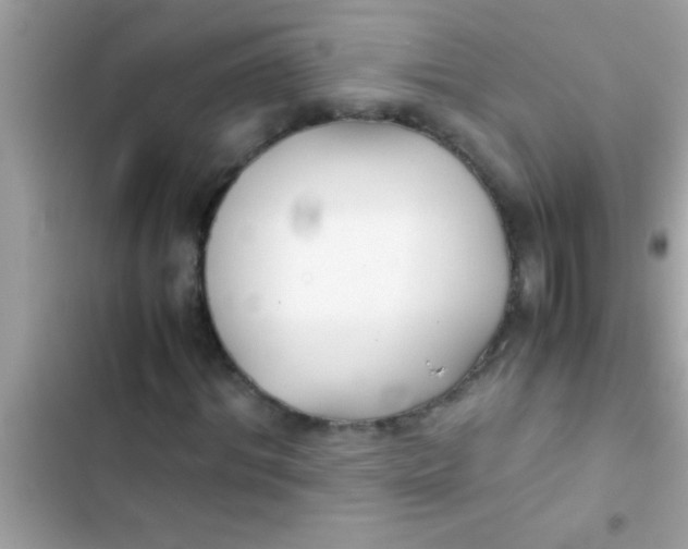 X0000103310964200809191914