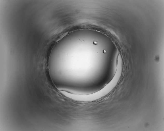 X0000103310965200809191914