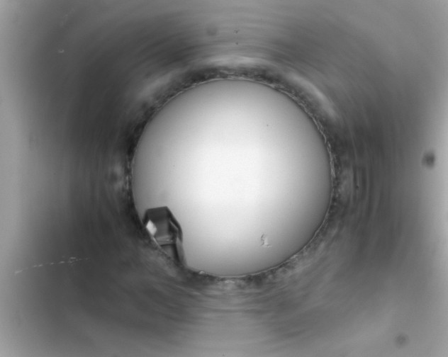 X0000103310966200809191914
