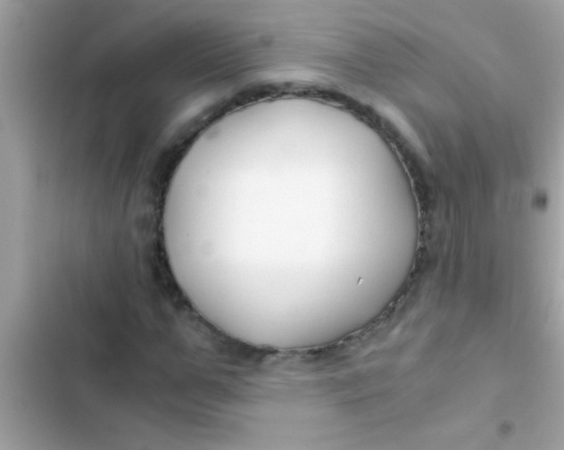 X0000103310967200809191914