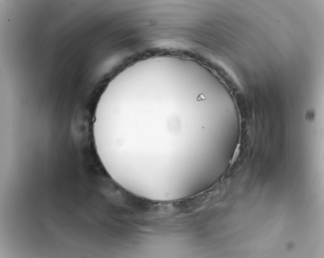 X0000103310968200809191914